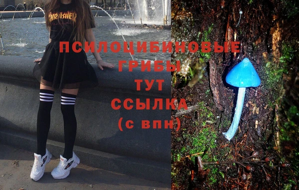 альфа пвп Беломорск