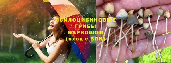 метамфетамин Белокуриха