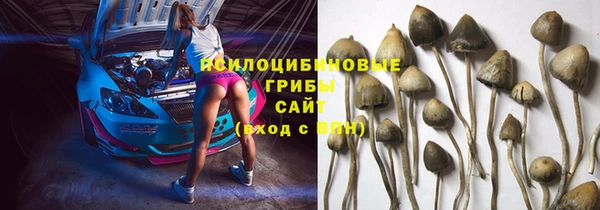альфа пвп Беломорск