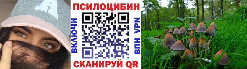Купить где  Тобольск  Галлюциногенные грибы мицелий 